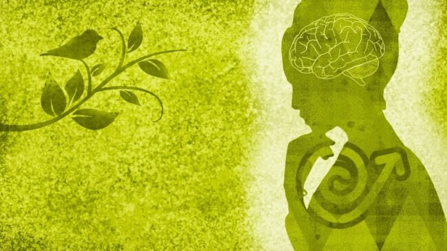 woman-g02fcedc82_1920 woman