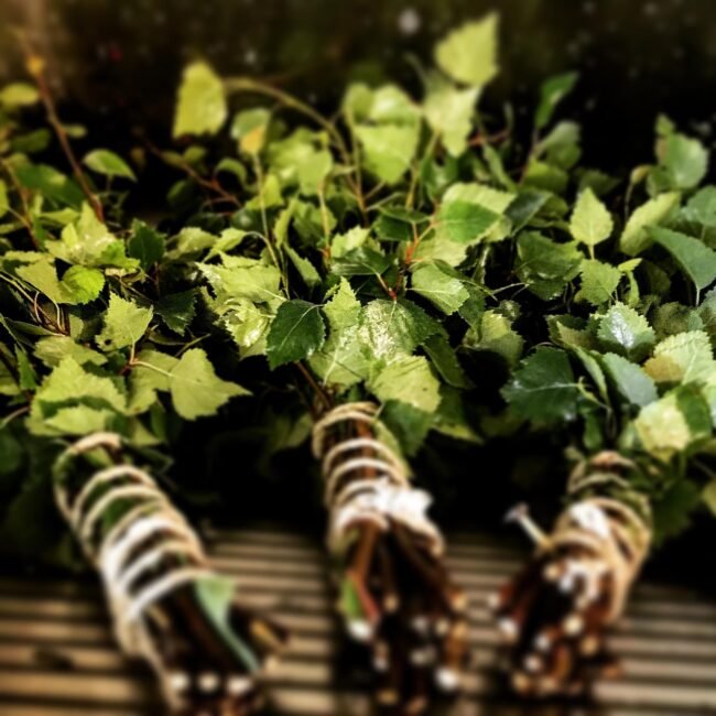 birch-ga099bbf96_1920 birch