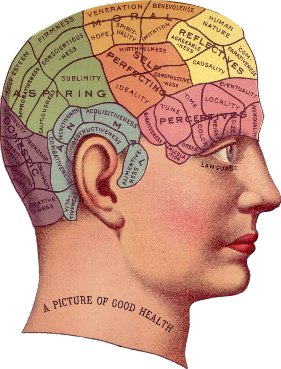 vintage brain theories