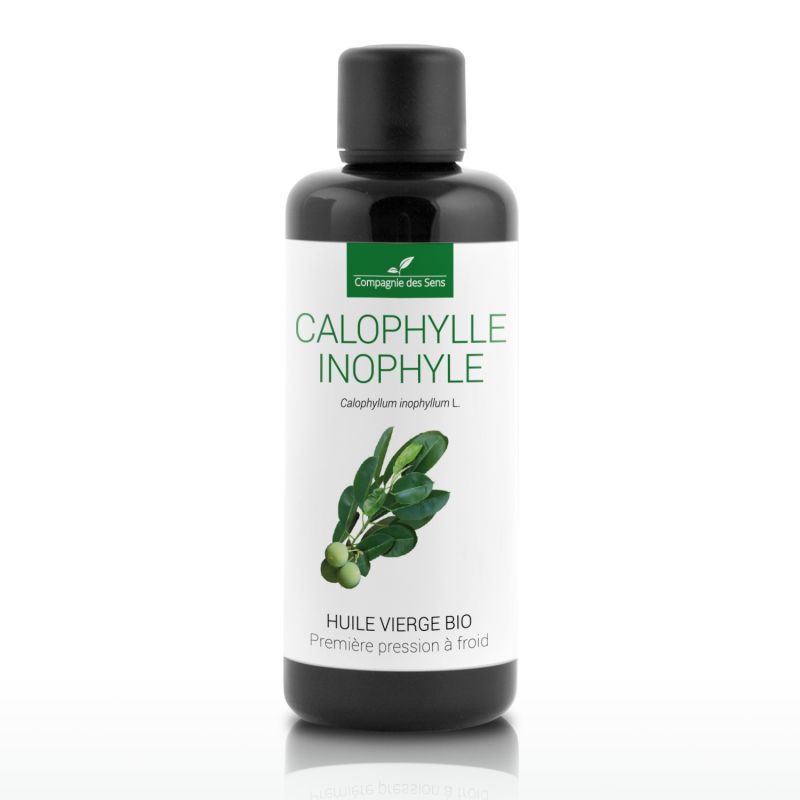 Olej Tamanu – Calophylle inophyle BIO
