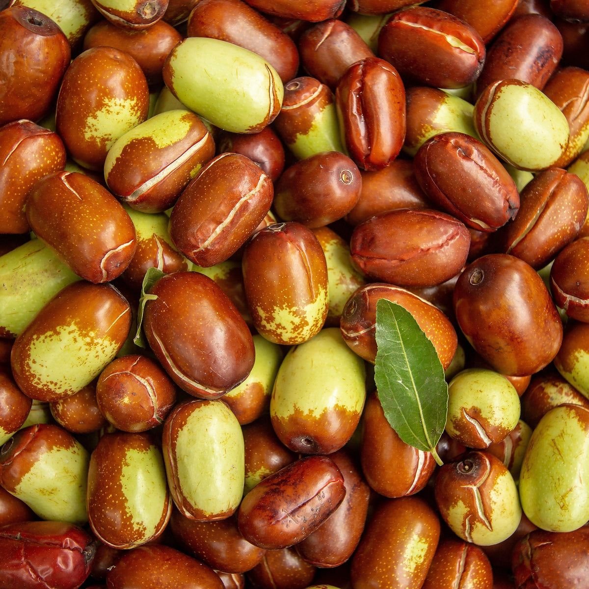 Olej Jojoba BIO 100 ml